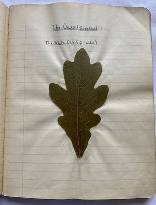 FOLK ART HERBARIUM TREES & FERNS of NYC - HOMEMADE SCRAPBOOK
