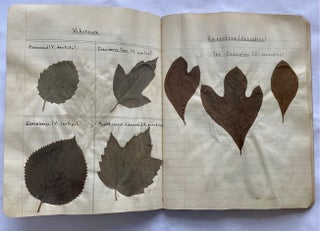 FOLK ART HERBARIUM TREES & FERNS of NYC - HOMEMADE SCRAPBOOK