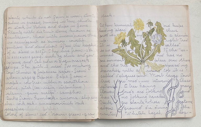 Item #757 EARLY 1900s NOTEBOOK WITH COLOR PLANT SKETCHES