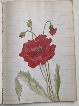 EARLY 1900s NOTEBOOK WITH COLOR PLANT SKETCHES
