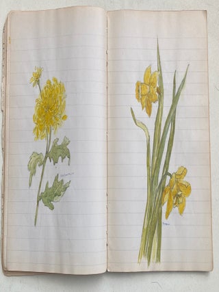 EARLY 1900s NOTEBOOK WITH COLOR PLANT SKETCHES