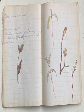 EARLY 1900s NOTEBOOK WITH COLOR PLANT SKETCHES