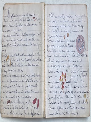 EARLY 1900s NOTEBOOK WITH COLOR PLANT SKETCHES