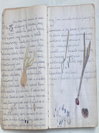 EARLY 1900s NOTEBOOK WITH COLOR PLANT SKETCHES