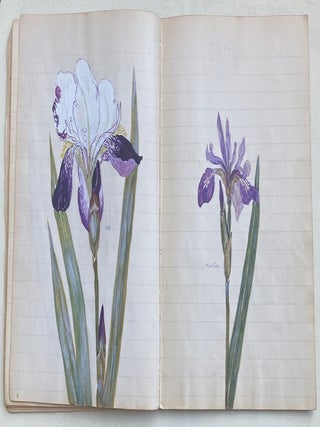 EARLY 1900s NOTEBOOK WITH COLOR PLANT SKETCHES