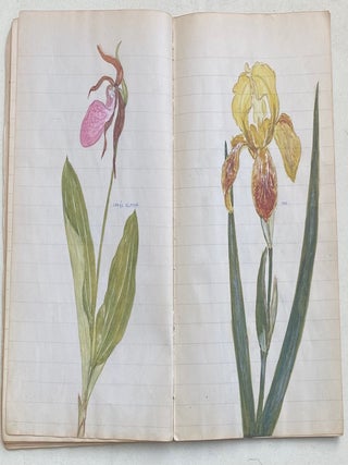 EARLY 1900s NOTEBOOK WITH COLOR PLANT SKETCHES