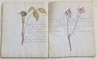 EARLY 1900s NOTEBOOK WITH COLOR PLANT SKETCHES