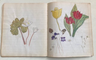 EARLY 1900s NOTEBOOK WITH COLOR PLANT SKETCHES