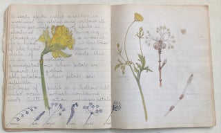 EARLY 1900s NOTEBOOK WITH COLOR PLANT SKETCHES