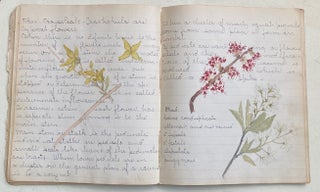 EARLY 1900s NOTEBOOK WITH COLOR PLANT SKETCHES