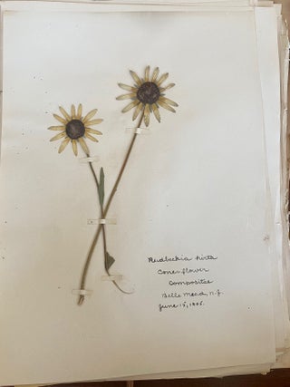 1899-1905 HERBARIUM and ART HISTORY PAPER - NEW JERSEY