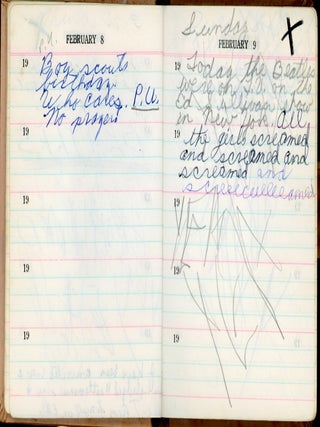 1964 TEENAGE GIRL BEATLES FAN HANDWRITTEN DIARY