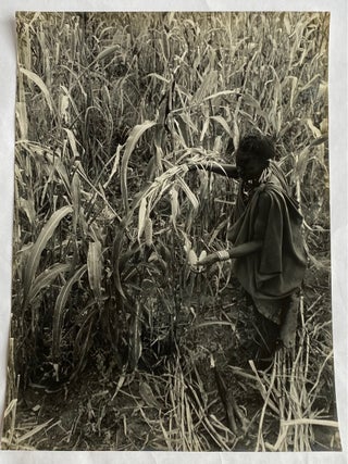 VINTAGE AFRICA PHOTOS by TIMOTHY ASCH c. 1970