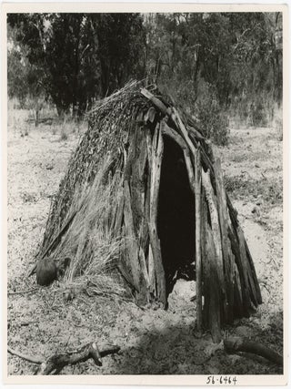 BUSHMEN and OTHERS from SOUTH AFRICAN VINTAGE PHOTO COLLECTION - VAN WARMELO