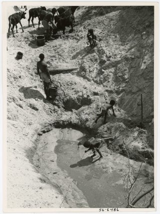BUSHMEN and OTHERS from SOUTH AFRICAN VINTAGE PHOTO COLLECTION - VAN WARMELO